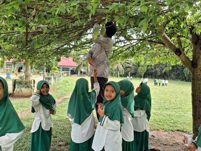 Aksi Nyata Kasih Sayang Guru MIN 2 Tebo: Panjat Pohon Seri demi Kebahagiaan Siswa